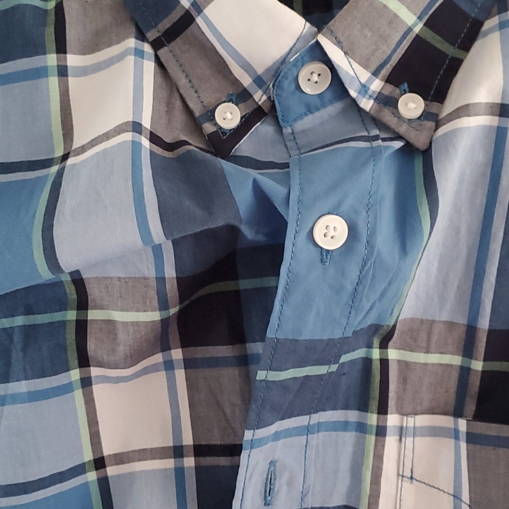 American eagle - Picture 3 of 4